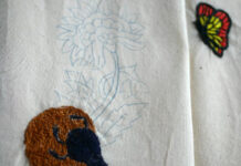 « Le rêve du bousier » d’Anaïs Beaulieu.